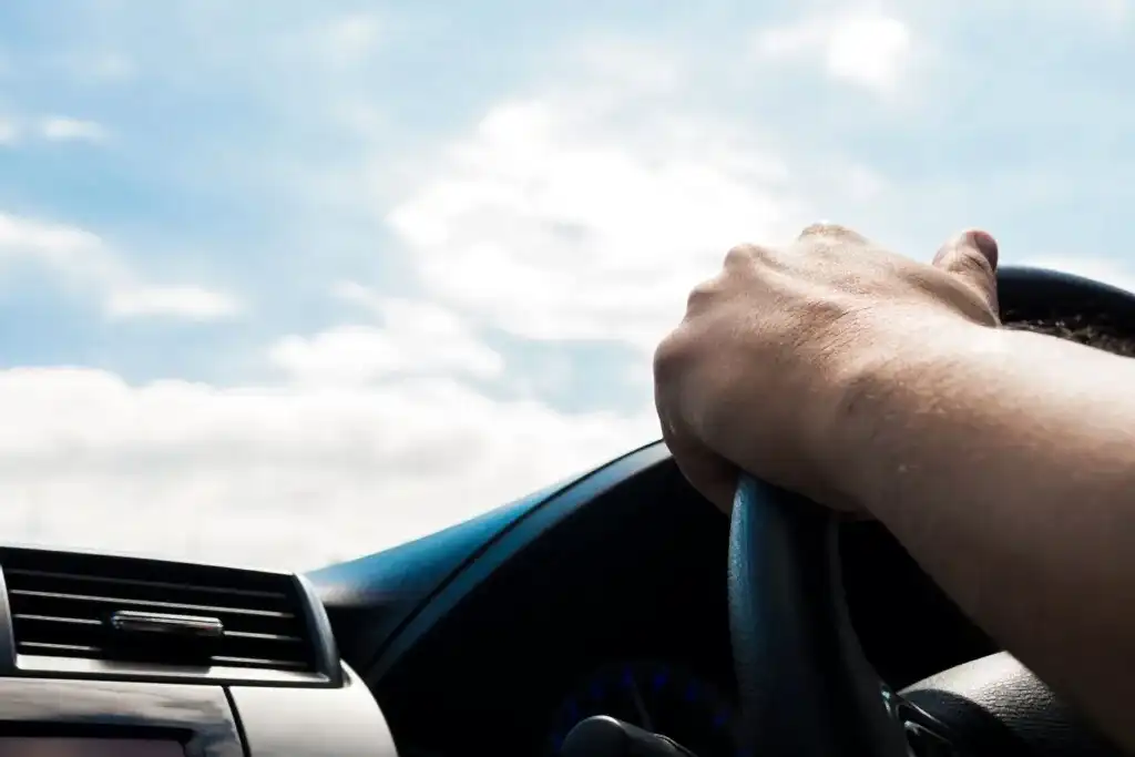 izmir park surucu kursu